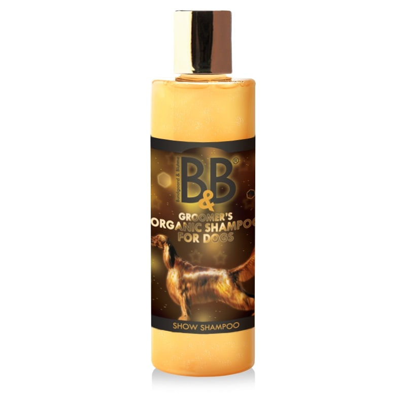 Amp økologisk Show Shampoo