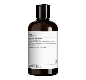Evolve Shampoo Superfood Shine 250