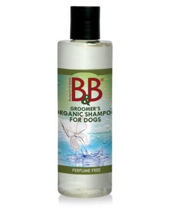 Amp Neutral Shampoo