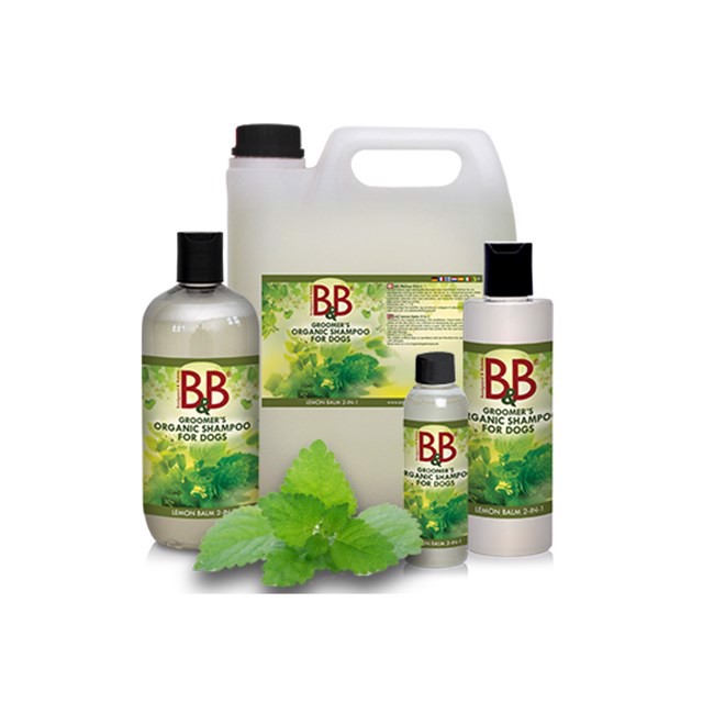 Amp Shampoo 2i1 Melisse 250
