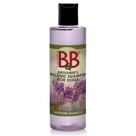 Amp Shampoo Lavendel 250