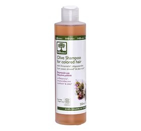 Bioselect Shampoo Oliven Farvet Hår Ampbull 200ml