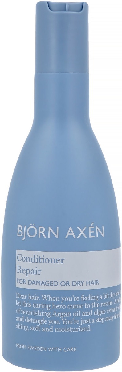 Bjrn Axn Conditioner Repair For Damaged Dry Hair 250ml