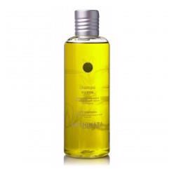 Chinata Shampoo