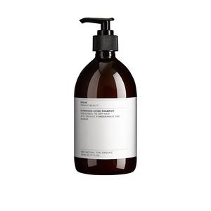 Evolve Organic Beauty Superfood Shine Shampoo 500