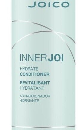 Joico Innerjoi Hydrate Conditioner 300