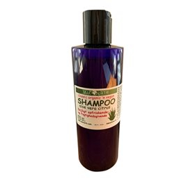 Macurth Shampoo Aloe Vera Citrus Ampbull 250ml