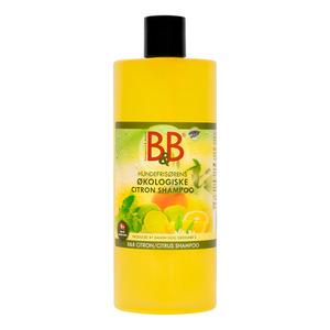 Amp Citron Shampoo 750