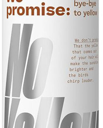 Promise Yellow Say Bye Bye Yellow Silver Conditioner 250ml